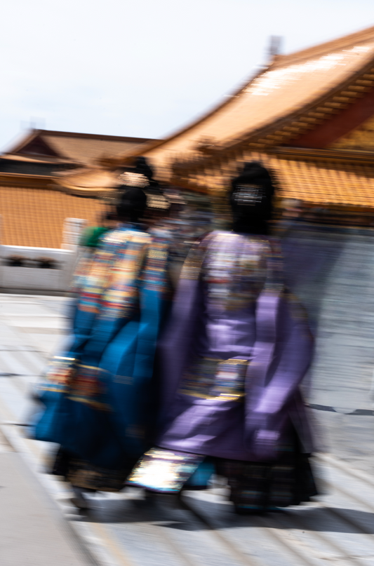 Ladies Of The Forbidden Palace