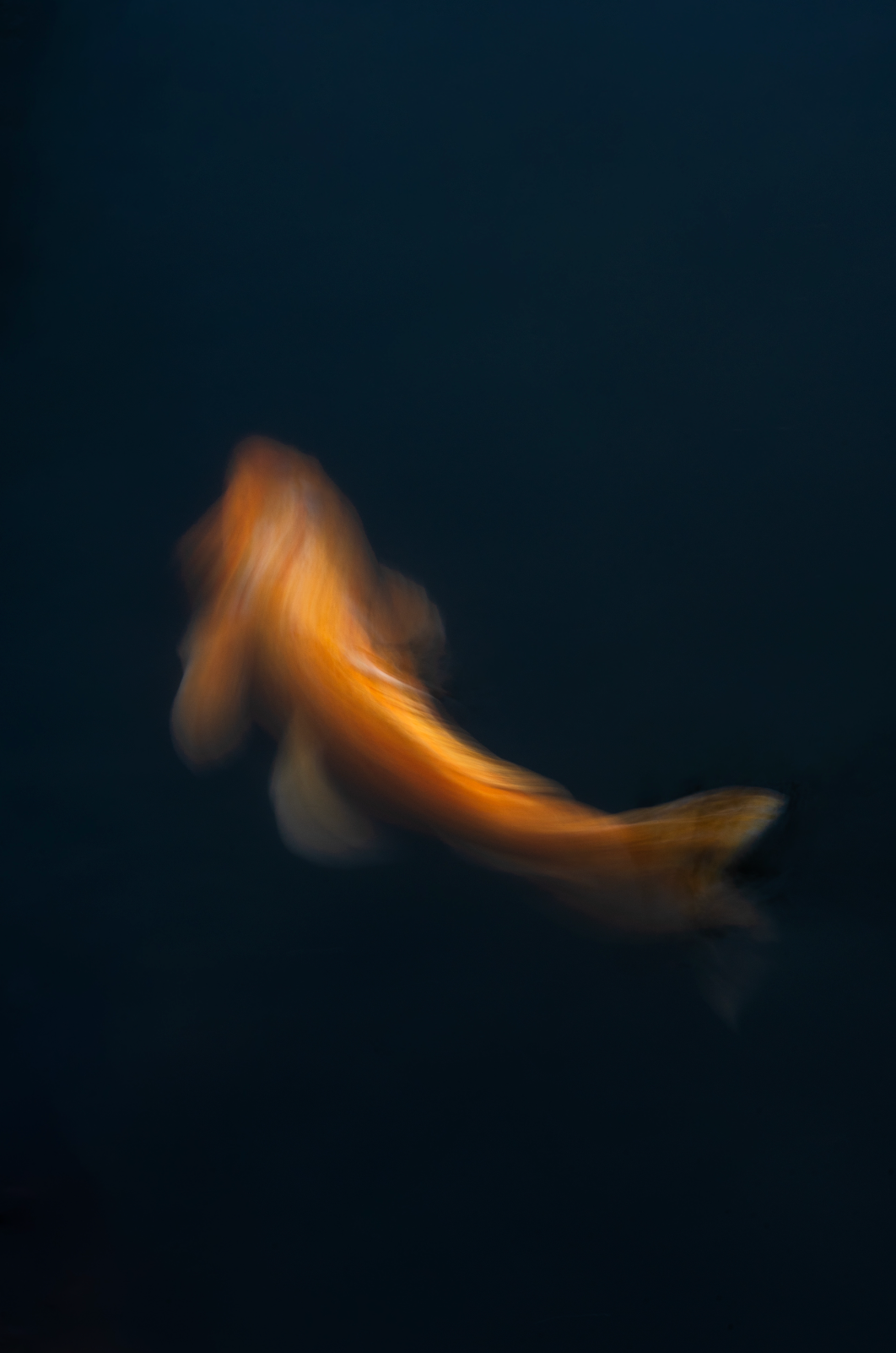 The Color Orange