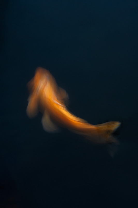 The Color Orange