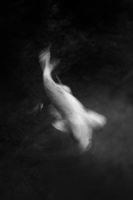 A Heart of Water