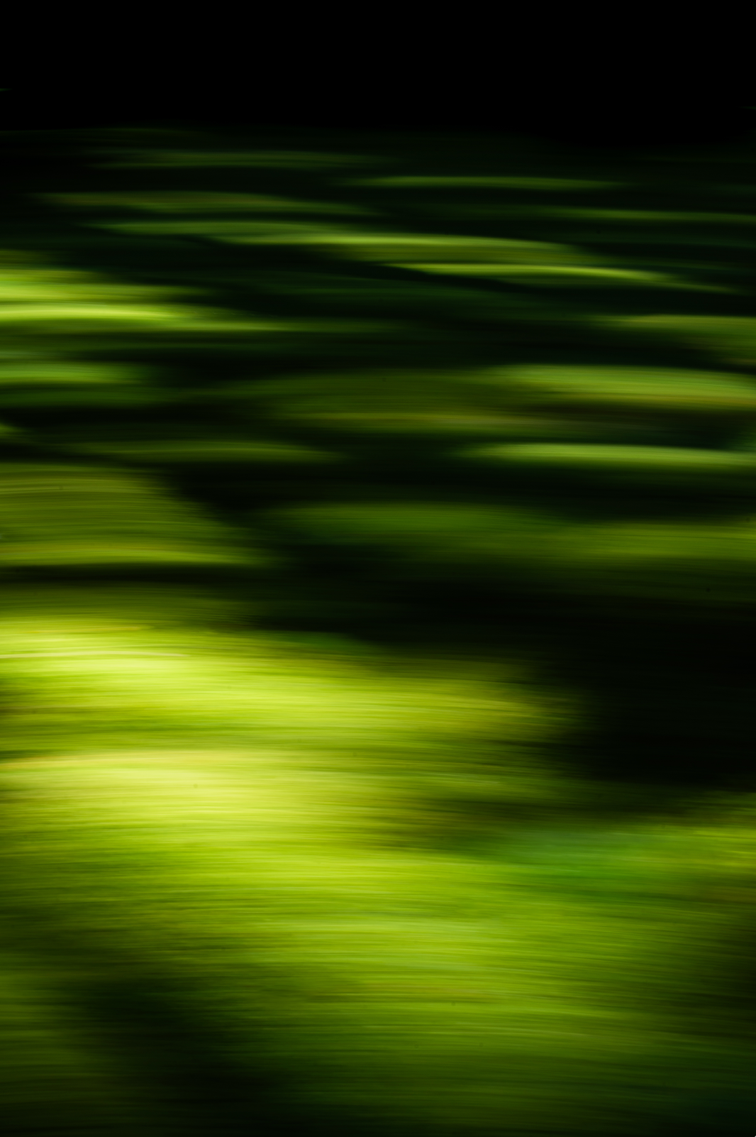 Sea of Moss