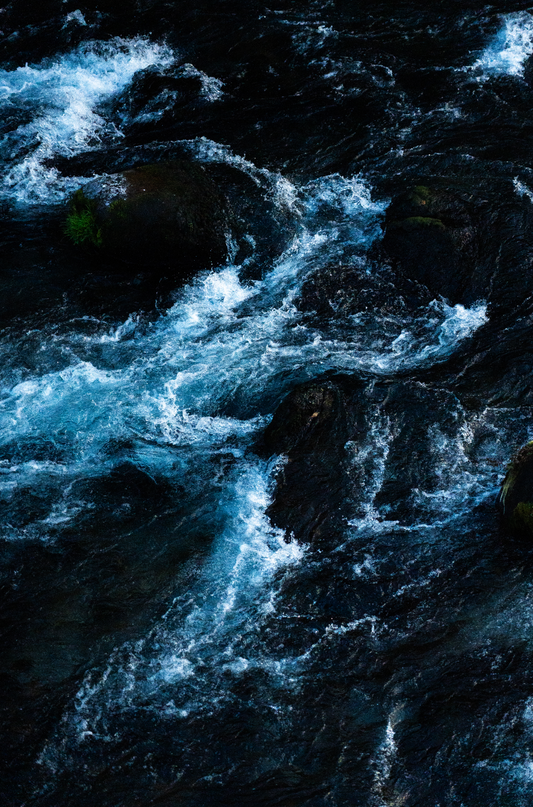 The Water Dragon