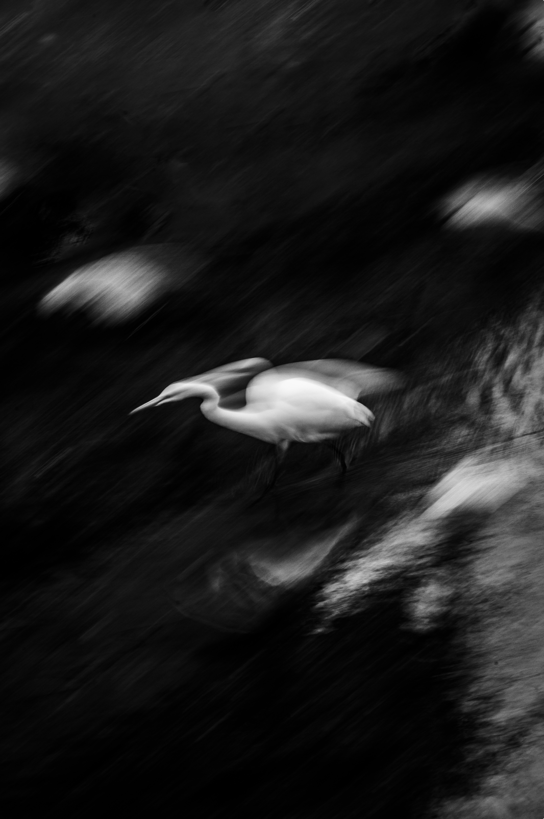 The Scent of Fallen Leaves